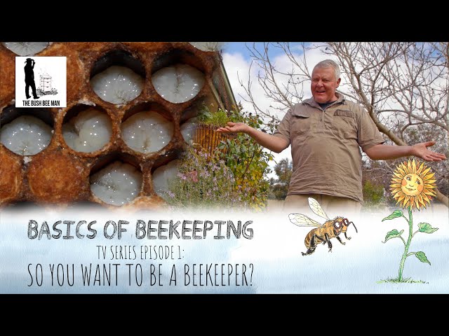 So You Want to Be a Beekeeper?