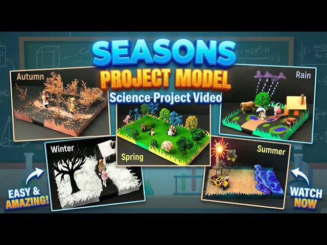 Four Seasons Science Project Model - DIY Educational Model for Students