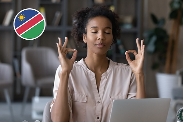 Responses to Challenging Situations Aptitude Advantage Programmes | Namibia