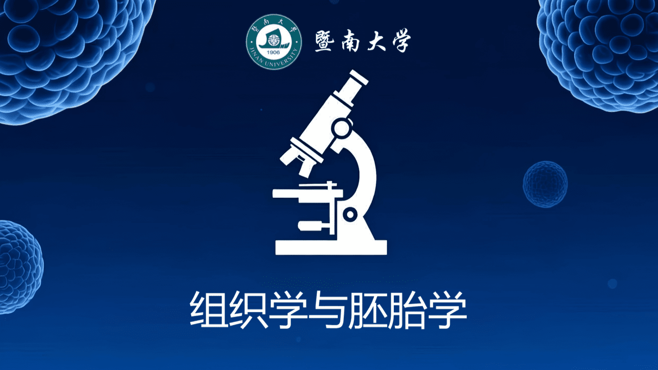 组织学与胚胎学