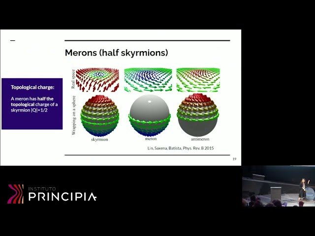 Skyrmions and Merons in Magnetic Spin Systems