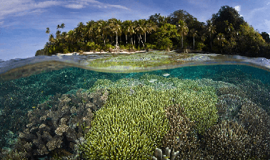 Indo-Pacific Security