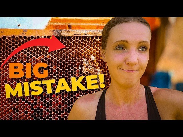 My Biggest Mistake as a Beekeeper - And How It Changed Everything