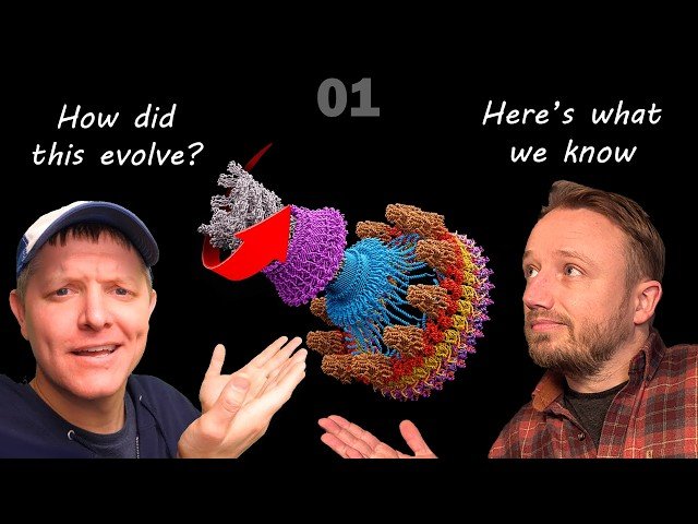 How Did Bacterial Flagella Evolve? - Here's What We Know - 01