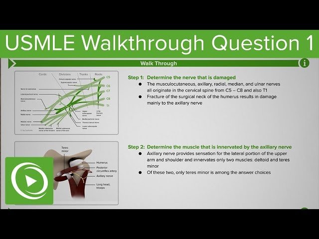 USMLE Step 1 - Anatomy Questions Walkthrough Tutorial