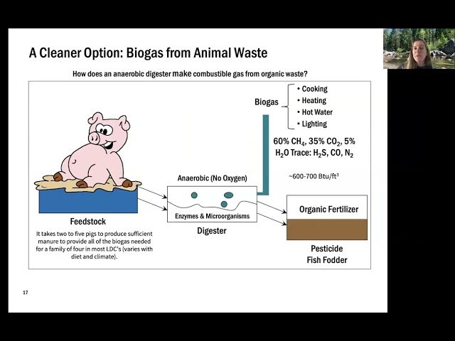 Biomass Energy - Sources, Forms, and Environmental Tradeoffs