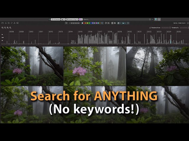Find Any Image in Lightroom with Peakto AI
