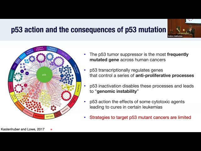Targeting the Intersection Between Senescence and Cancer