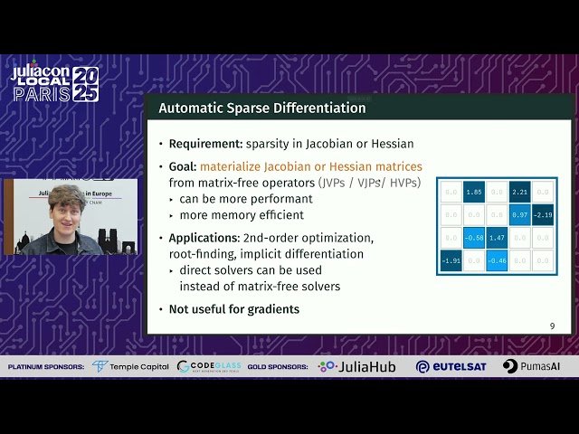 Leveraging Sparsity to Accelerate Automatic Differentiation