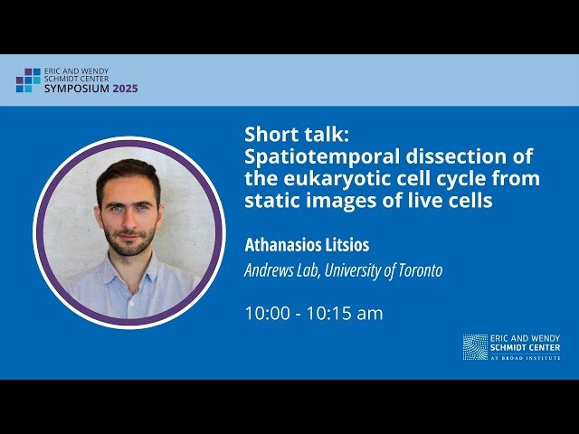 Spatiotemporal Dissection of the Eukaryotic Cell Cycle from Static Images of Live Cells