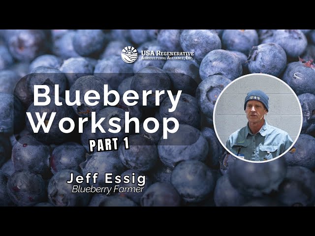 Blueberry Workshop - Soil Fertility and Regenerative Cultivation Techniques