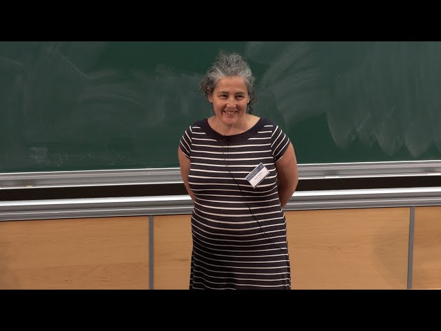 Thermodynamical Formalism and Geometric Applications - 1/3