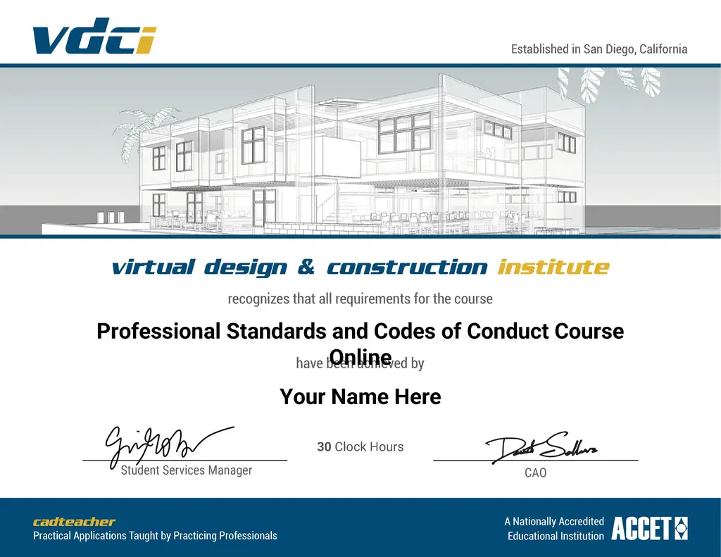 Professional Standards and Codes of Conduct
