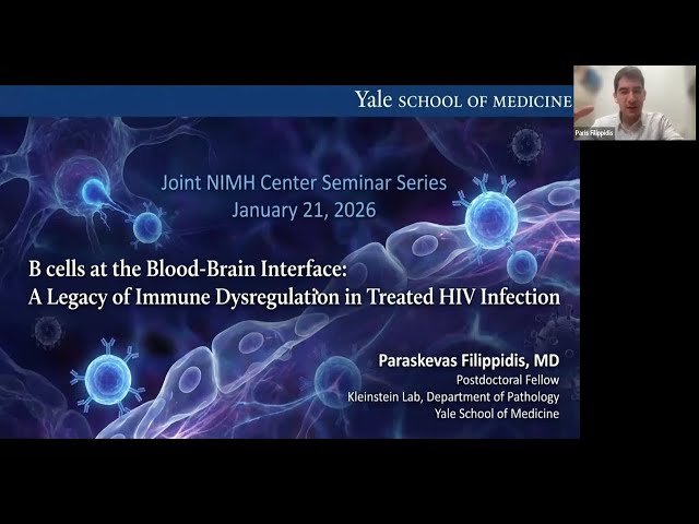 B Cells at the Blood-Brain Interface - A Legacy of Immune Dysregulation in Treated HIV Infection