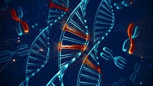 Molecular Biology and Biotechnology Principles