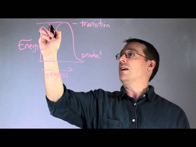 Biology Lessons - Enzymes, Photosynthesis, Cell Structure, and Scientific Method