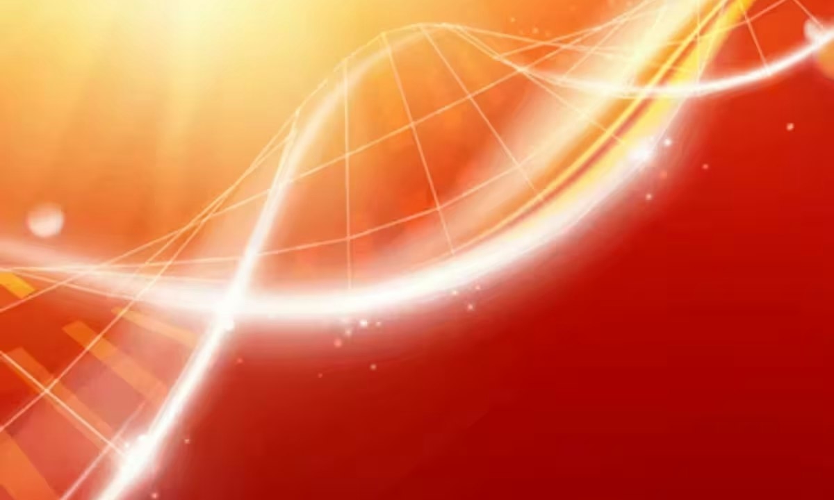 The Neurotransmitters of the Mind – Part 2