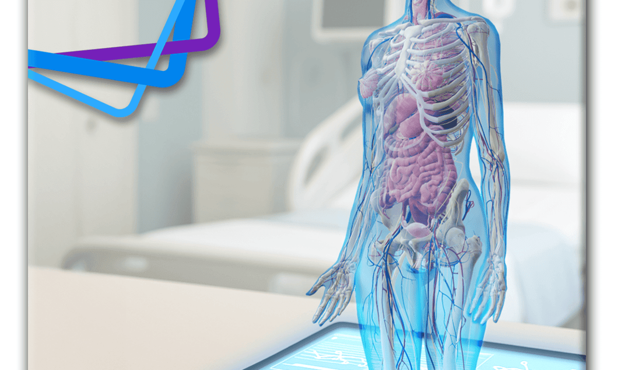 Inside the Human Body: The A&P Essentials Every Nurse Needs