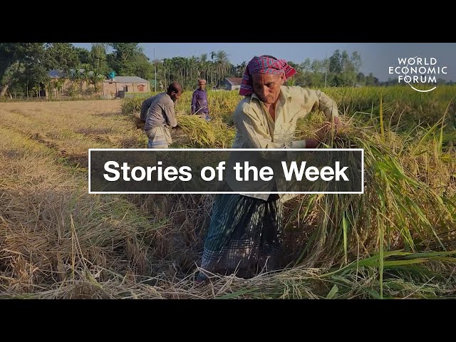 Financing the Green Transition and Extreme Weather in Southeast Asia - Top Stories of the Week