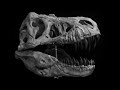 Creating a Life-Sized T. Rex Skull in Blender - Open Source 3D Modeling
