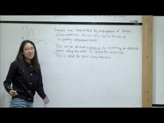 Mathematical Physiology - Ionic Currents and the Hodgkin-Huxley Model - Lecture 4