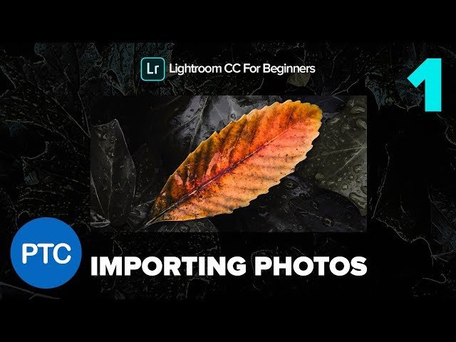 Lightroom CC for Beginners - Complete Training Course