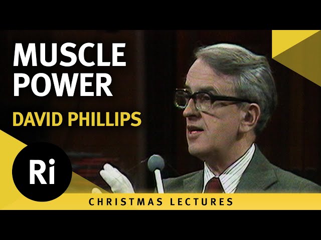 Muscle Power - 1980 Christmas Lectures 3/6