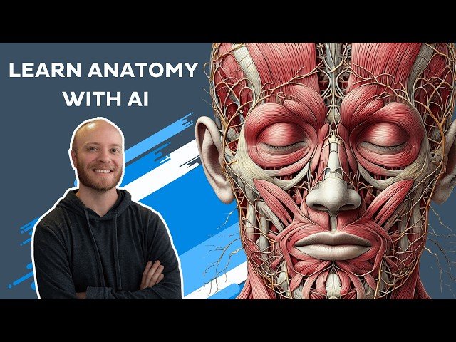 How to Learn Anatomy with AI Tools - A Study Guide