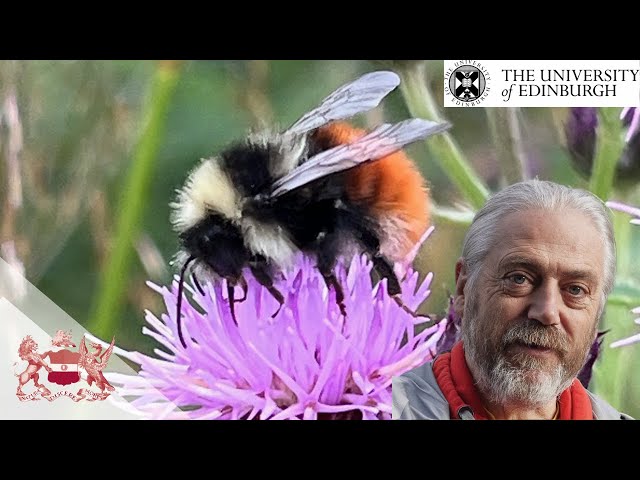 Busy 'bout the Tree of Life - Genome Sequencing of Biodiversity