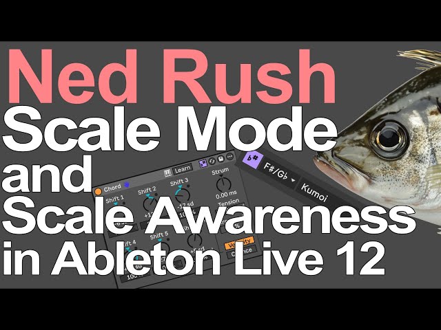 Ableton Live Tutorial - Scale Mode and Scale Awareness