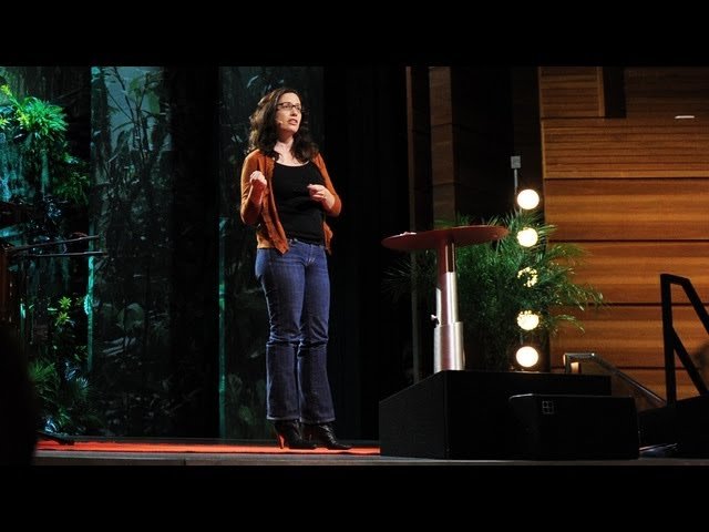 What We Learn Before We're Born