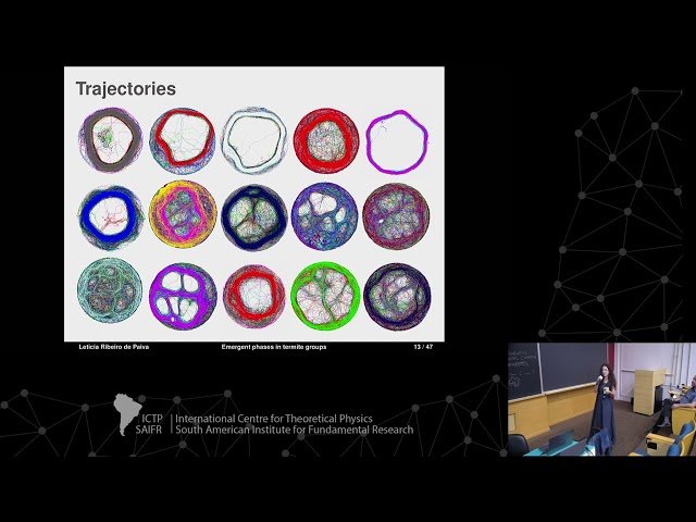 Emergent Dynamical Phases in Termites
