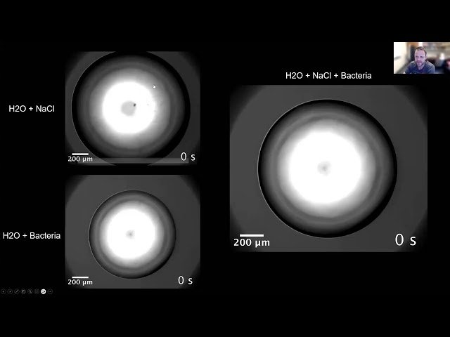 Biology in the Air: From Hitchhiking Microbes to Jumping Nematodes