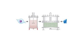 Making Biologic Medicines for Patients: The Principles of Biopharmaceutical Manufacturing