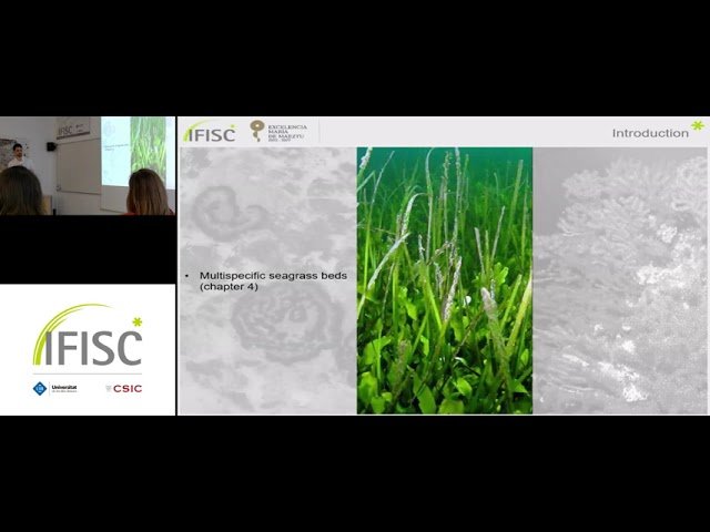 Spatiotemporal Dynamics of Coastal Mediterranean Ecosystems