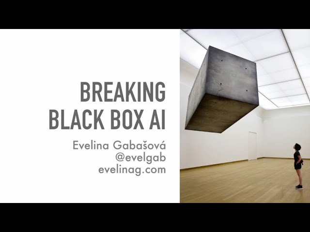Breaking Black-Box AI