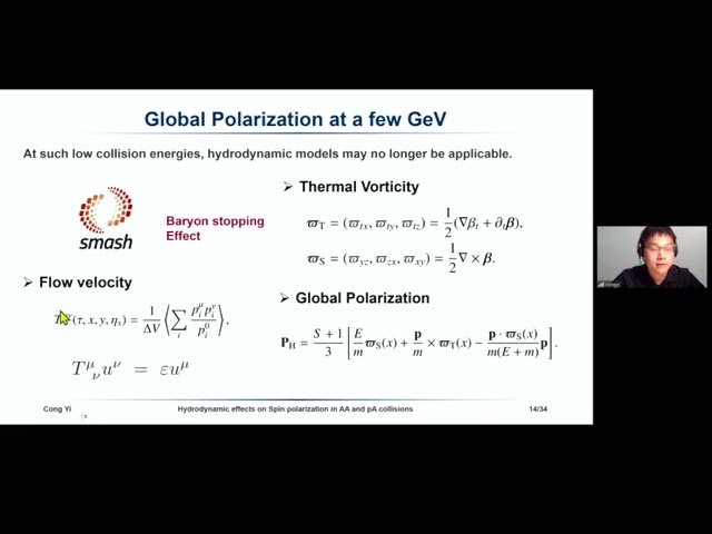 Spin Polarization, Viscosity, Magnetohydrodynamics and Magneto-Chiral Instability in Quantum Matter