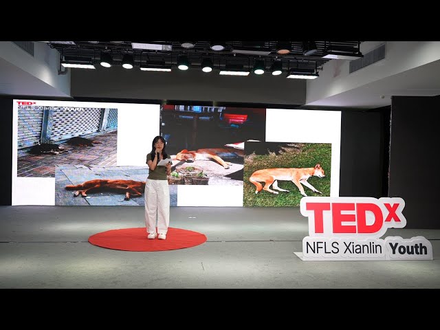 The Dialectical Relationship Between Emotion and Rationality