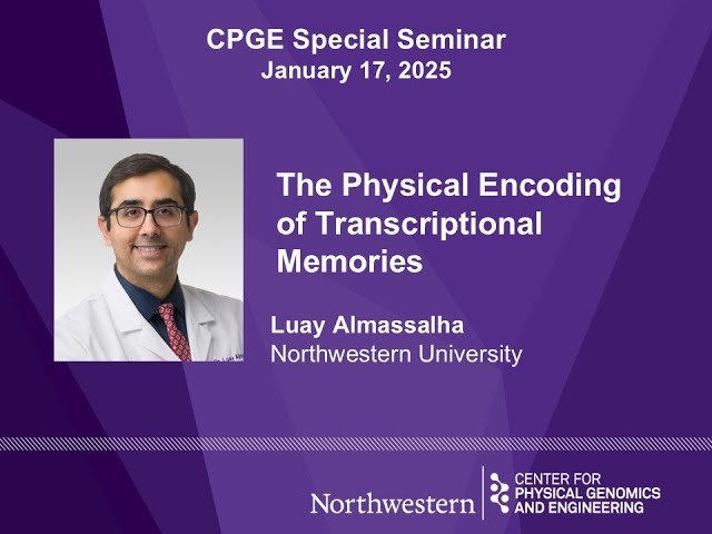 The Physical Encoding of Transcriptional Memories in the Human Genome