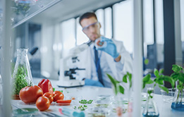 Food Narratives and Cultural Studies