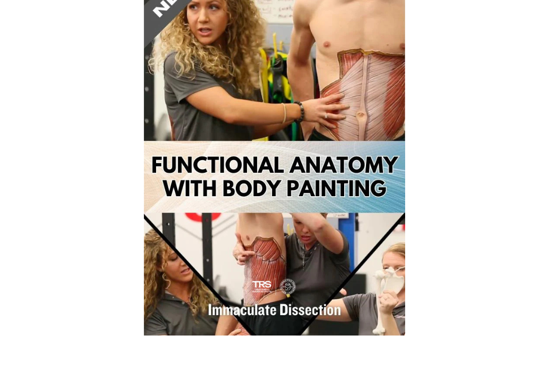 Functional Anatomy of the Core - Immaculate Dissection
