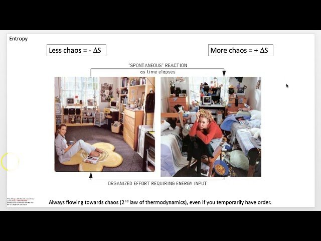 Biochemistry 101 - Introduction to Molecular Biology and Metabolism