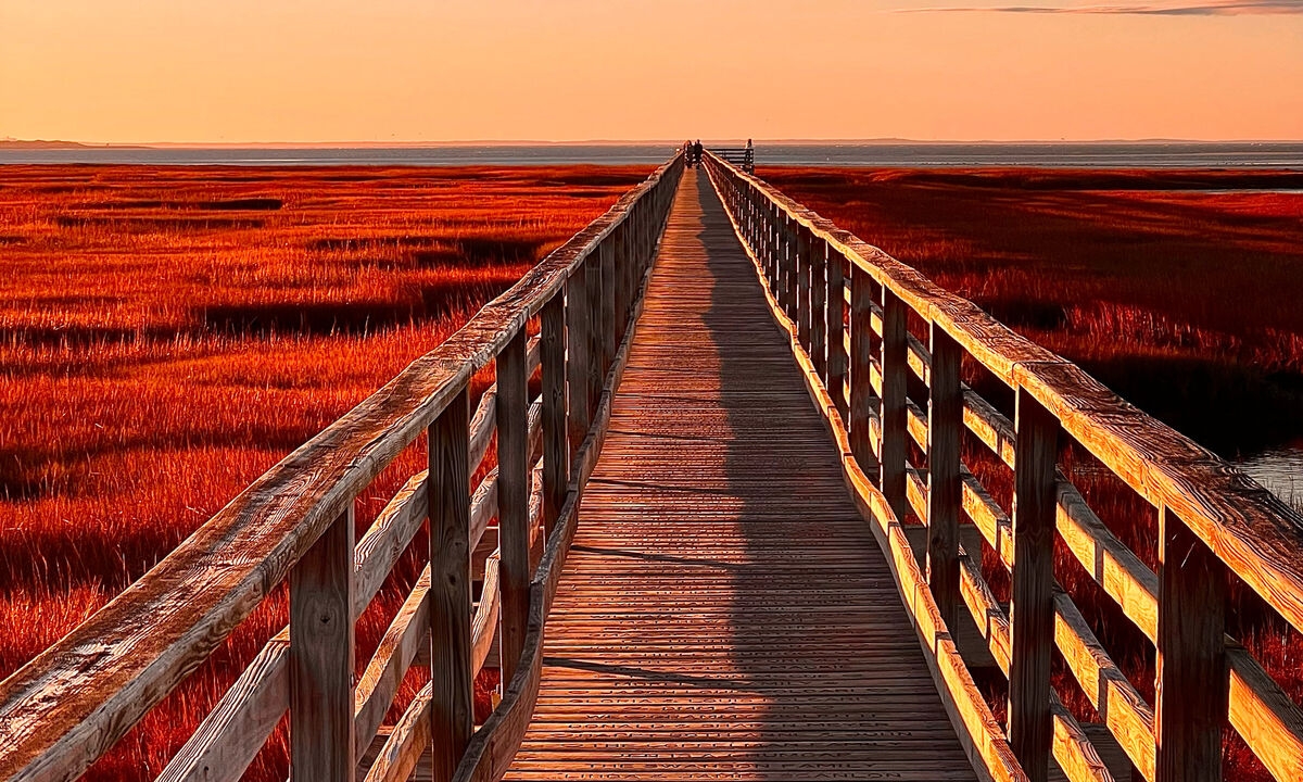 iPhone Photography Masterclass: The Subjects with Jack Hollingsworth