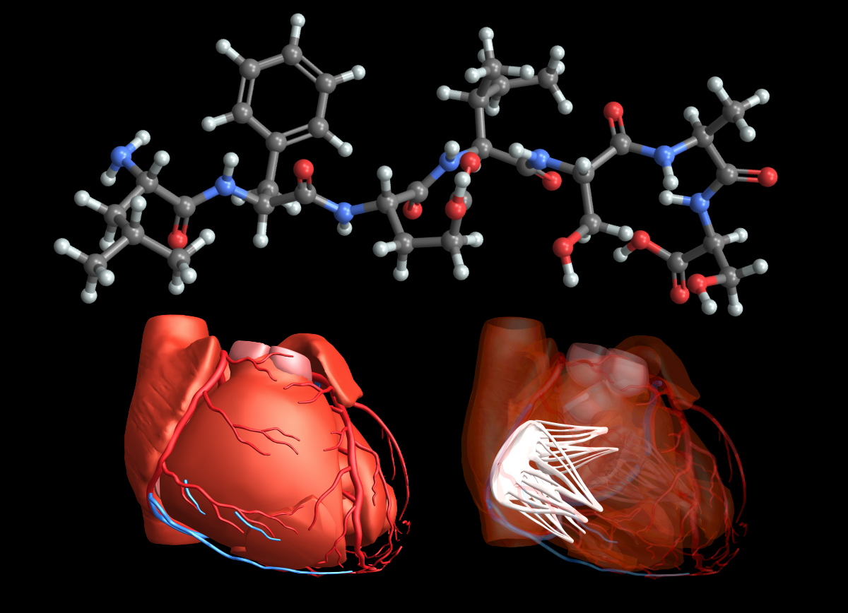 Wolfram Language for Life Sciences & Medicine: Wolfram U Lesson