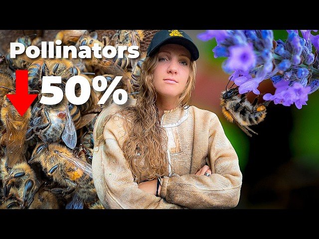 How You Can Save the Bees - Even If You Don't Keep Them