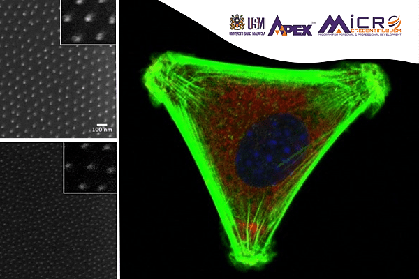 Nanomedicine for Regenerative Medicine