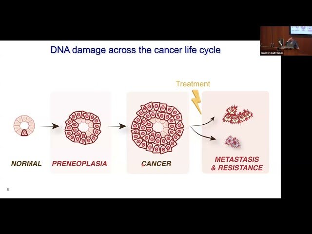 Immunogenicity of DNA Damage in Breast Cancer Prevention and Therapy