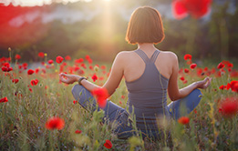 Mind Body and Wellness