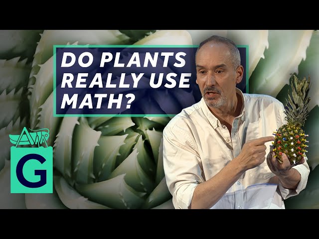 The Shape of Plants - Why Plants Love Mathematics and Mathematicians Love Plants