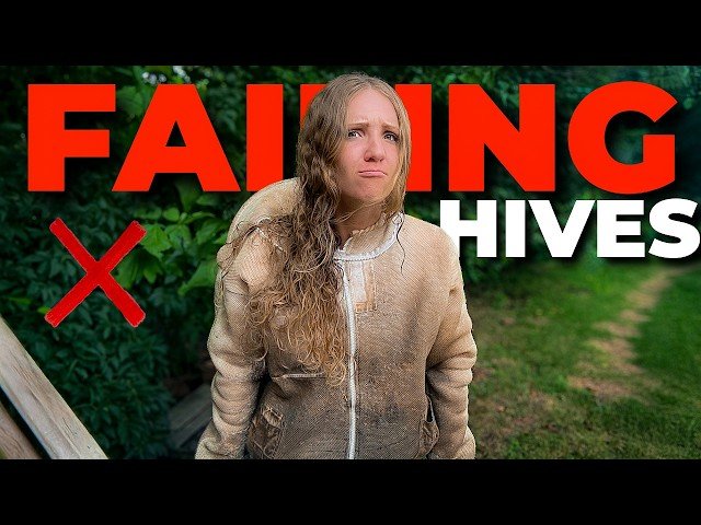 What Hive Losses Taught Us This Year and How We'll Save More Bees